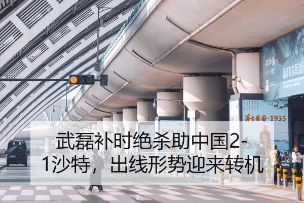 wu-lei-bu-shi-jue-sha-zhu-zhong-guo-sha-te-chu-xian-xing-shi-ying-lai-zhuan-ji-2-499.jpg